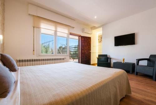 a bedroom with a large bed and a television at Hotel Los Olivos in Getafe