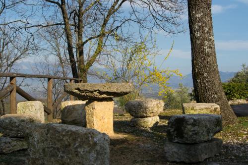 a rock garden with a tree and a pile of rocks at B&B La Pietra in Arpino