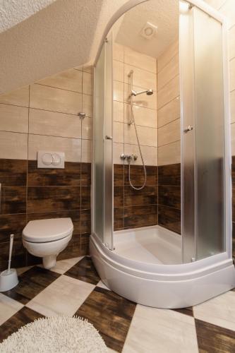 a bathroom with a shower and a toilet at Guest House Rustico in Korenica