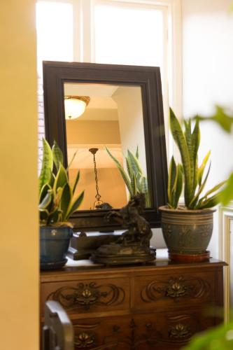 a mirror on top of a dresser with plants at The Old Vine in Winchester