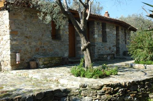 Gallery image of Gera's Olive Grove - Elaionas Lesvou in Perama