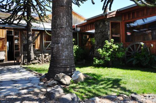 a palm tree in front of a house at Hostal Epu Pewen in Curacautín