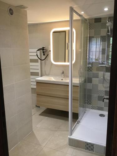 a bathroom with a shower and a sink at Contact Hôtels Le Savigny & Spa in Blacé