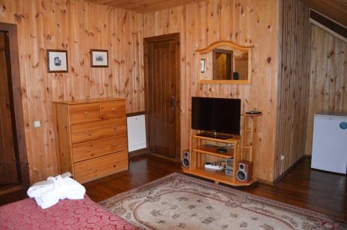 1 dormitorio con 1 cama, TV y pared de madera en Chumatskiy Shlyah en Romankiv