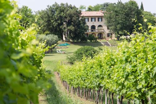 a view of a vineyard with a house in the background at Villa Marani in Rovolon