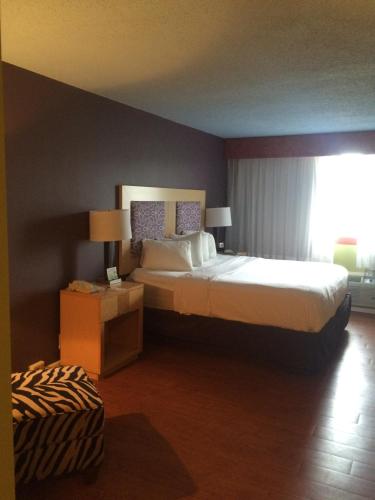 Trip Hotel Ithaca – Photos 3