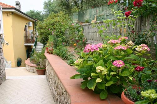 A garden outside B&B La Baia Di Fiascherino citr01101sei-BEB-0011