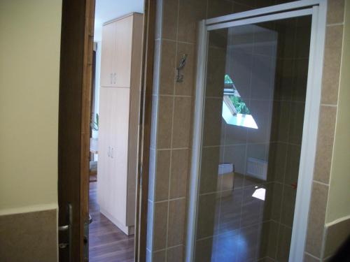 a shower with a glass door in a bathroom at Hotel Viktória in Balatonalmádi