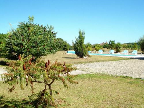 un pequeño pino junto a una piscina en Detached villa in a beautiful area, en La Croix-Blanche