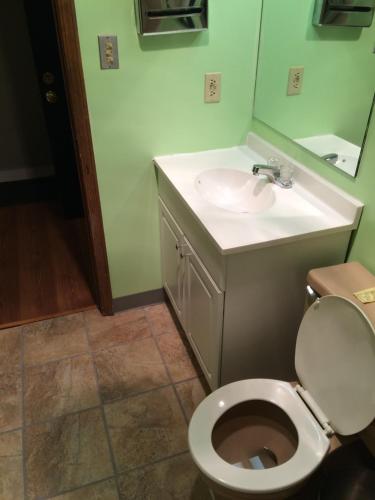 a bathroom with a toilet and a sink at Chaffee Lodge in Chaffee