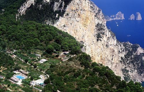 an aerial view of a mountain with trees and water at Da Gelsomina in Anacapri