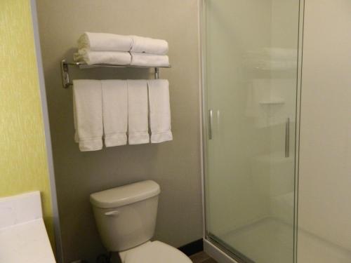 a bathroom with a shower and a toilet and towels at Holiday Inn Express & Suites Shippensburg, an IHG Hotel in Shippensburg