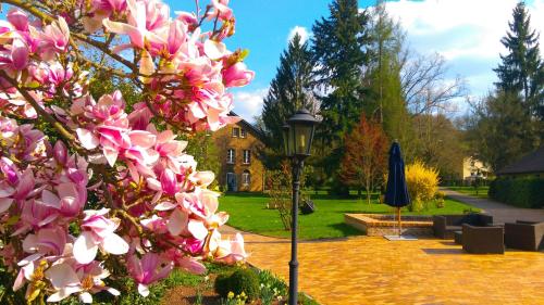 Menschels Vitalresort – Photos 4