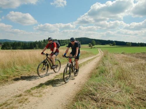 two men riding bikes on a dirt road at Beim Einfalt B&B in Grossgerungs