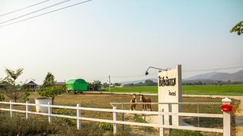 two horses standing in a field behind a fence at Santitham Home Farm Stay in Mae Taeng