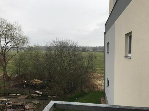 Fotografie z fotogalerie ubytování Apartmán na Lukách - Kopretina v destinaci Třeboň