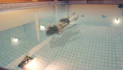an overhead view of a swimming pool at The Osborne Hotel in Torquay