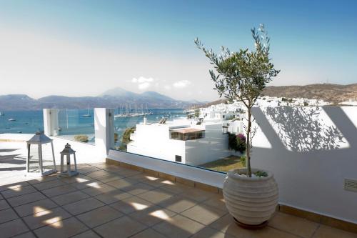 a plant in a large vase on a balcony at Ostria Hotel  in Adamas