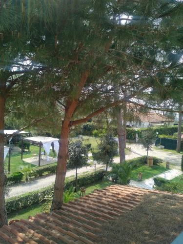 Un jardín fuera de Il Miraggio