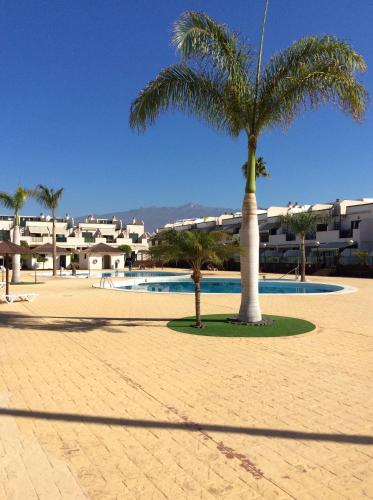 una palmera sentada en medio de una piscina en Geranios Costa del Silencio, en Costa del Silencio