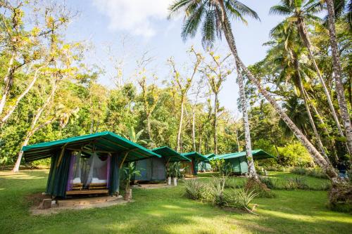 Gallery image of Saladero Ecolodge in Esquinas