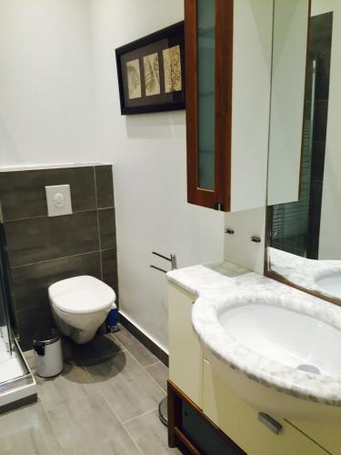 une salle de bain avec toilettes, lavabo et miroir dans l'établissement CANNES FESTIVALS b, à Cannes