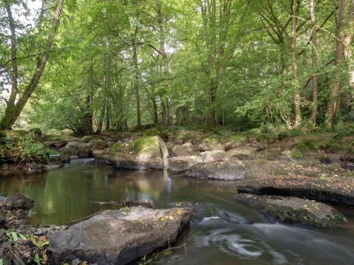 a stream in a forest with rocks and trees at Elegant Escape in Lanrelas in Lanrelas