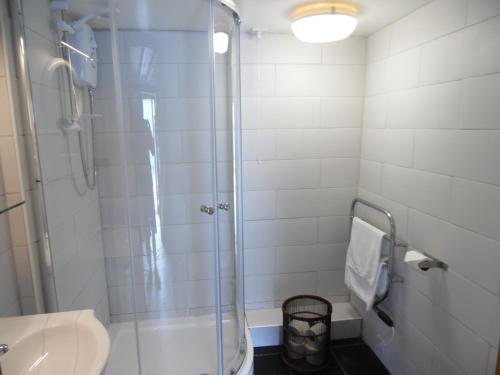 a bathroom with a shower and a toilet and a sink at Brambles Cottage in Boyton