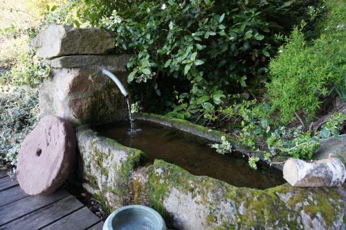 a bird bath with a water fountain at Auberge du Thiollet in Montromant