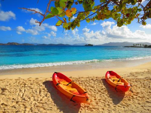 two kayaks are sitting on a beach near the water at Luxury Beachfront Duplex Villa on Sapphire Beach IV in Frydendal