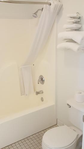 a white bathroom with a toilet and a tub at Motel 6 Albany, OR in Albany