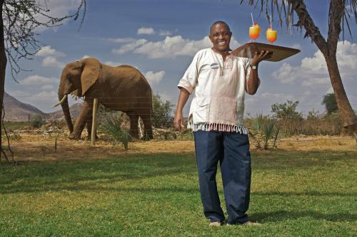 a man holding a tray with an elephant in the background at Ashnil Samburu Camp in Archers Post