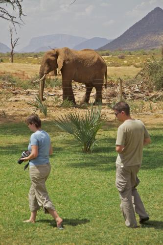 a man and a woman standing in front of an elephant at Ashnil Samburu Camp in Archers Post