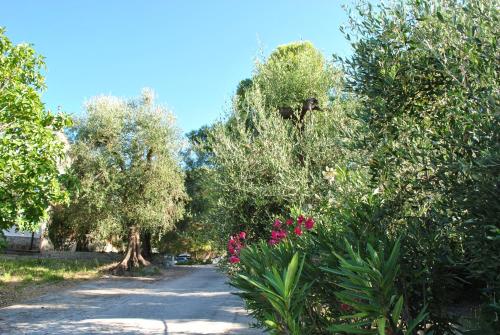 Gallery image of Villa Anna Residence Rodi in Rodi Garganico