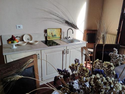 a kitchen with a sink and a counter top at Appartamenti Villa Mascagni in Volterra