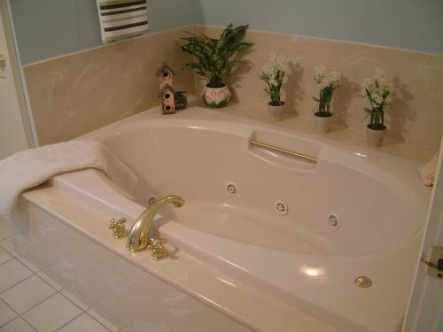uma banheira branca com vasos de plantas na casa de banho em Truman Gillet House B & B em Granby