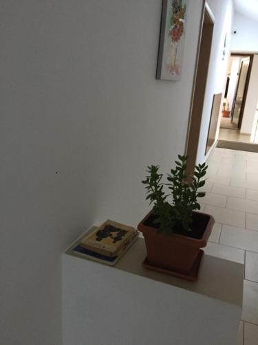 Φωτογραφία από το άλμπουμ του Hotel Nova Residence στο Βουκουρέστι