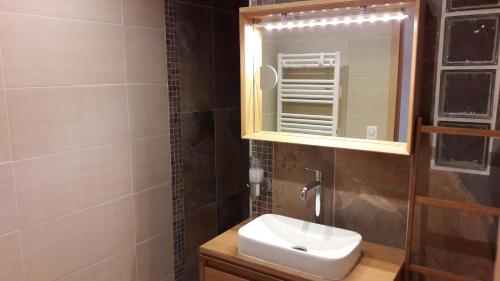 ein Bad mit einem Waschbecken und einem Spiegel in der Unterkunft Appartement avec terrasse "BARTHOLDI" in Colmar