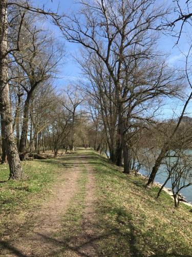 a dirt road next to a river with trees at Aparthotel nah dran in Dingolfing
