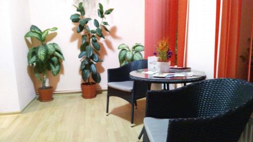 una mesa y sillas en una habitación con plantas en Casa Krista en Bran