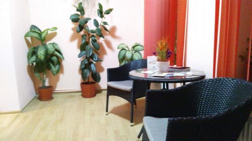 a table and chairs in a room with plants at Casa Krista in Bran