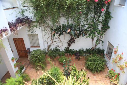 a courtyard with a bunch of plants and flowers at Hotel El Coloso in Jerez de la Frontera