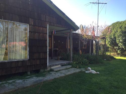 a dog laying in the grass in front of a house at La Casa Vinilla in Casablanca