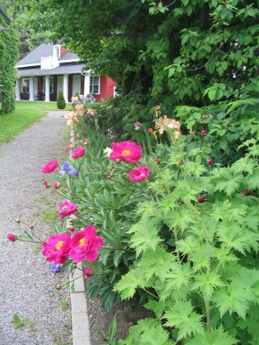 a garden of flowers in front of a house at Aux petits oiseaux in Baie-Saint-Paul