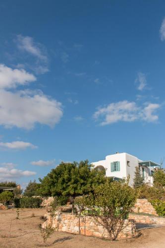 a building and a tree in front of a building at Alma Libre Villas in Kastraki Naxou