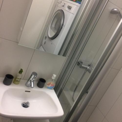 a bathroom with a sink and a washing machine at Switzerland Iseltwald Apartment in Iseltwald