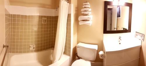 a bathroom with a toilet and a sink and a shower at Above Tide Motel in Campbell River