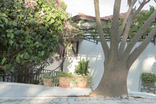 Gallery image of Villa Elpiniki in Troulos