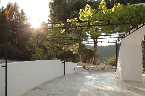 Gallery image of Villa Elpiniki in Troulos