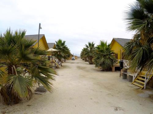 a dirt road with palm trees and buildings at Condominio Bahia Inglesa in Bahia Inglesa